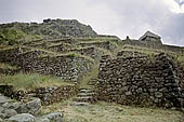 Inca Trail, Phuyupatamarka ruins